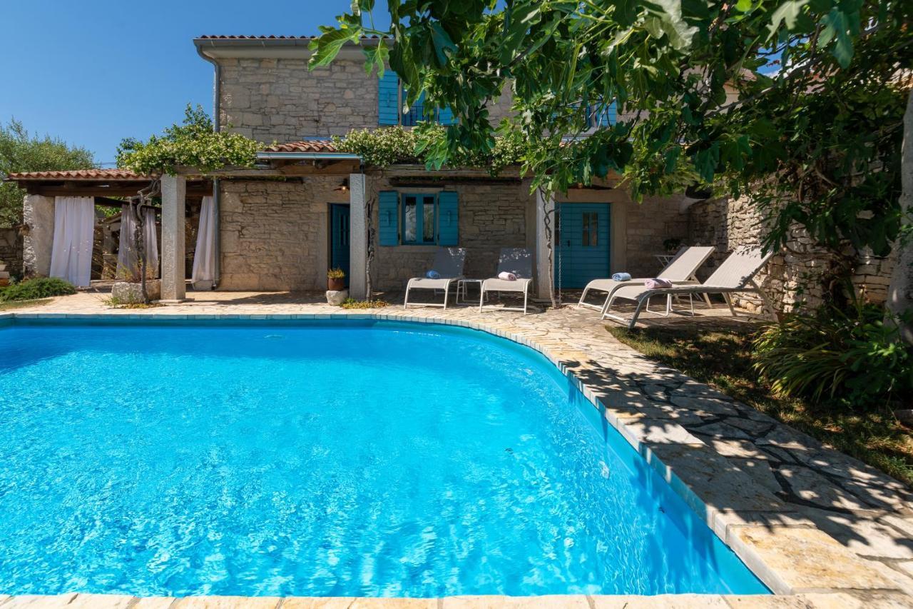 Villa Janko Sveti Lovreč Pazenatički Exterior foto